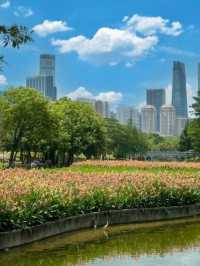 深圳中心公園｜藏在公園裏的宮崎駿☁️