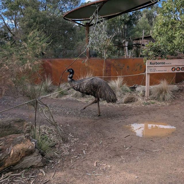 Werribee Open Range Zoo – Melbourne