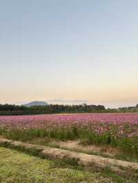 เชียงราย เมืองแห่งการพักผ่อน