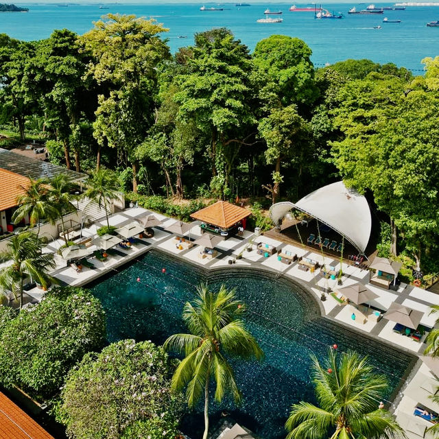 An Island Oasis of French Elegance