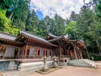 高山 | 櫻山八幡宮，巨大鳥居與古老的神社
