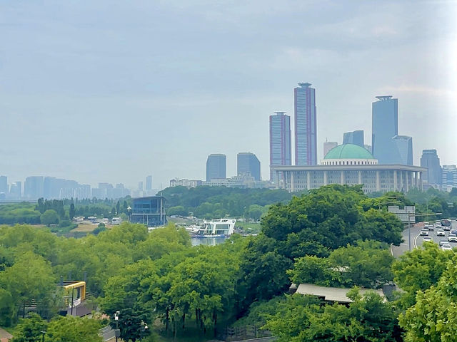 돗자리 하나면 충분해! 양화한강공원 피크닉💚