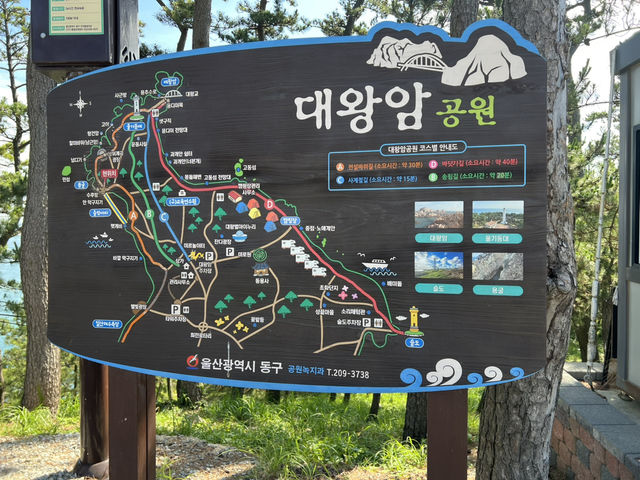 【韓国旅行】蔚山・大王岩公園
