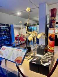 Princess Maha Chakri Sirindhorn Natural History Museum
