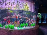 VinWonders Phu Quoc is an Absolute Blast
