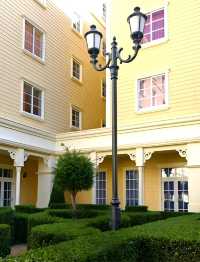 Wish upon a budget : Tokyo Disney Celebration Hotel Wish!