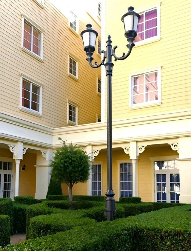 Wish upon a budget : Tokyo Disney Celebration Hotel Wish!