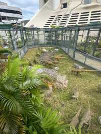 Roar & Explore: Penang’s Ultimate Dino Encounter