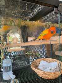Bright, Affordable, and Full of Charm in Desaru