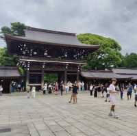 Meiji Jingu: A Tranquil Path to Tokyo’s Sacred Heart