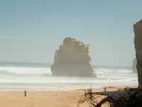 The Great Ocean Road Trip! 