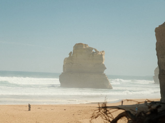 The Great Ocean Road Trip! 