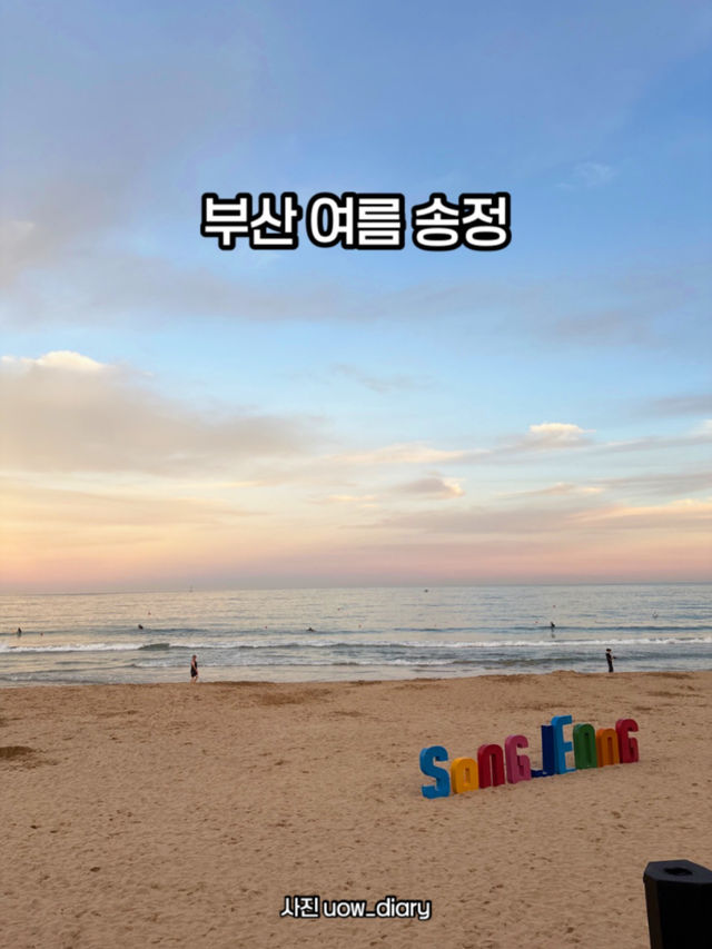 📍 부산 송정해수욕장 여름 여행기✨