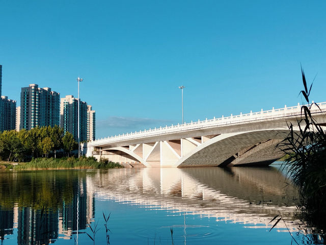 Yuncheng Wetland Park