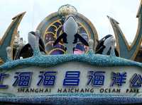 Dive into Fun at Shanghai Haichang Ocean Park