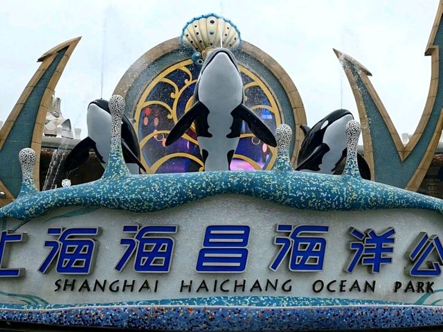 Dive into Fun at Shanghai Haichang Ocean Park