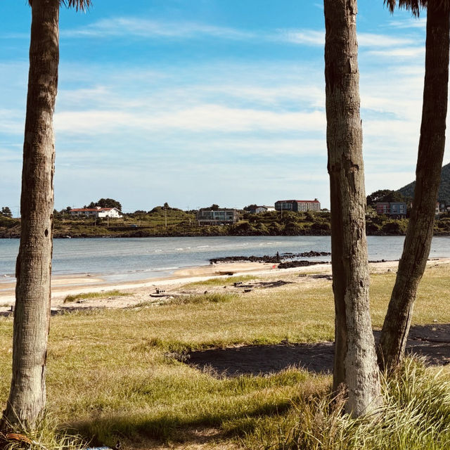Observing Local Life and Coastal Culture