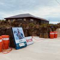 Integrated into a Scenic Coastal Walking Path