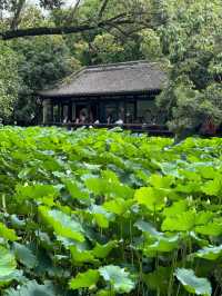 Shrine of Strategy: Where Zhuge Liang Lives On
