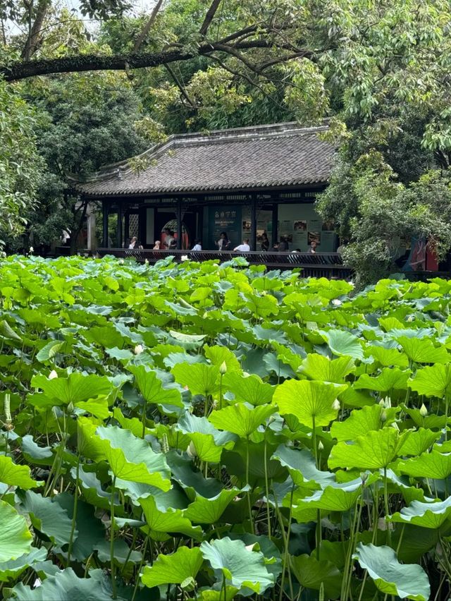 Shrine of Strategy: Where Zhuge Liang Lives On