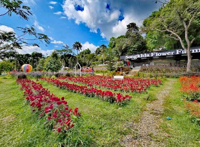 宋卡花卉農場