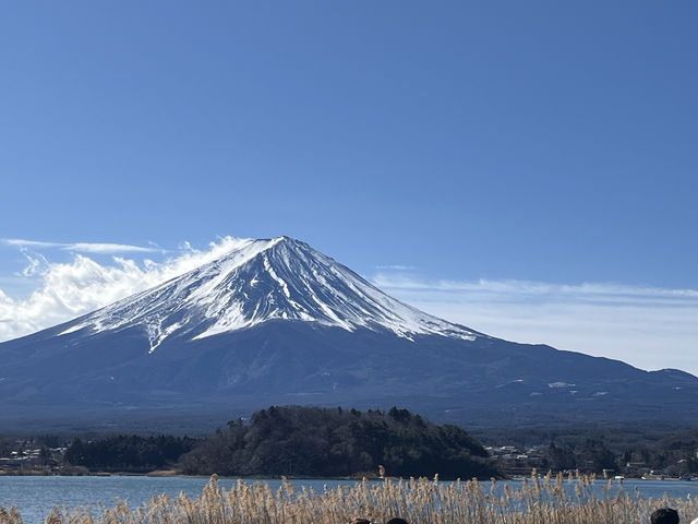 富士山大石公園