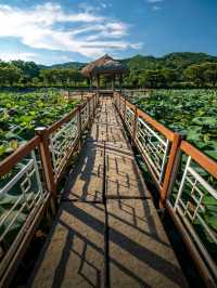 Goljeongji Pond