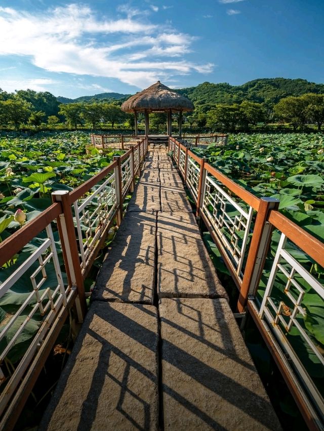 Goljeongji Pond