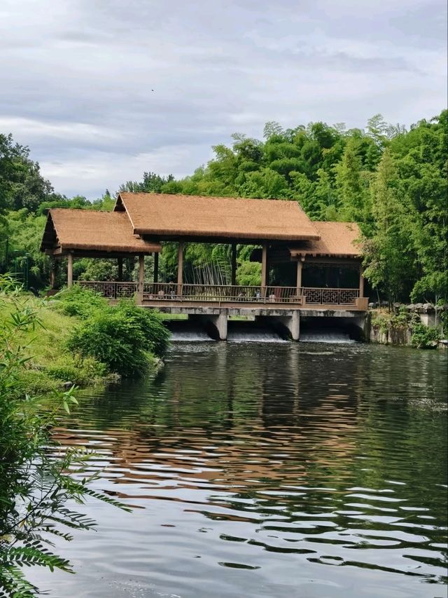 Bamboo Garden – Step into a Martial Arts Dream
