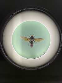 🖼️📚 RAMM – พิพิธภัณฑ์ที่ไม่ได้แค่โชว์ของ ✨🎨