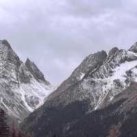 สี่ดรุณี | Shuangqiaogou 3,200 - 3,840 MASL.