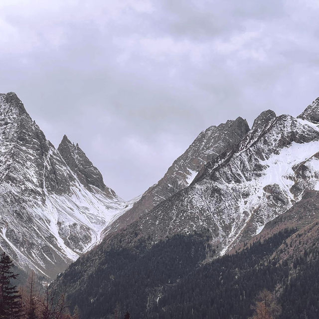 สี่ดรุณี | Shuangqiaogou 3,200 - 3,840 MASL.  สี่ดรุณี | Shuangqiaogou 3,200 - 3,840 MASL.