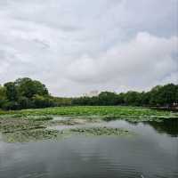 Chilling Out at Cuihu Park, Kunming City