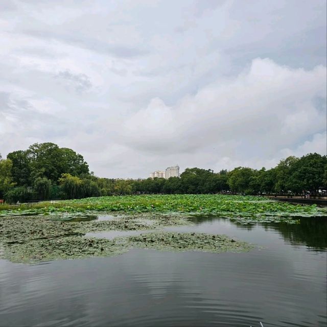 Chilling Out at Cuihu Park, Kunming City