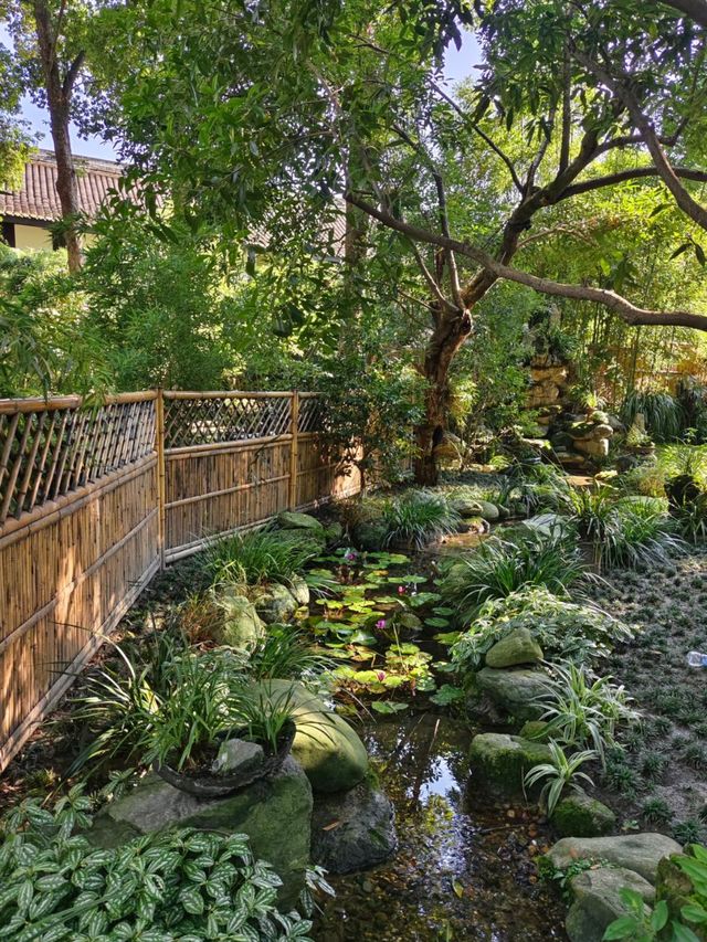 Chengdu Vibes: Chill Days, Spicy Nights