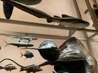 Immersive Cultural Journey at the National Museum of Qatar