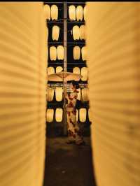 6,000灯の提灯🏮三重県『万灯みたま祭』