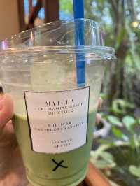 🌳 Hidden Tree – คาเฟ่ซ่อนตัวกลางธรรมชาติ