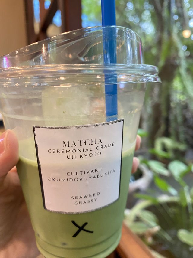 🌳 Hidden Tree – คาเฟ่ซ่อนตัวกลางธรรมชาติ