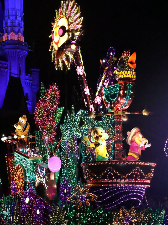 ディズニーランドで見れる夜の光のパレード！