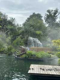 คาเฟ่ U FORESTS แกลง 