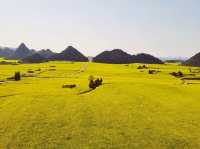 Luoping - Sea of Rapeseed Flowers in Yunnan.