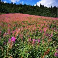 Tatra Mountain Range, Poland/Slovakia