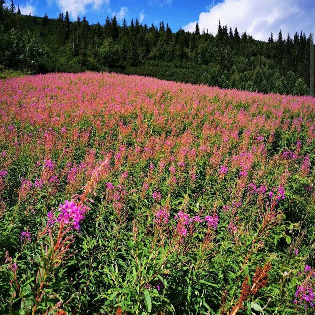 Tatra Mountain Range, Poland/Slovakia