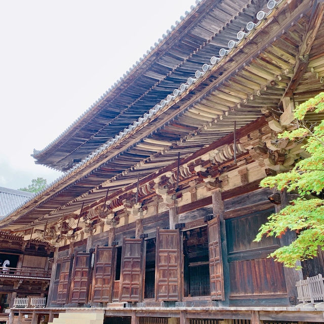 【兵庫】書寫山 圓教寺