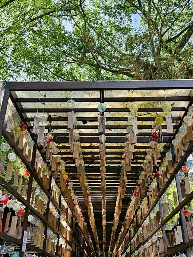 桃園|風吹拂風鈴響〔桃園神社〕 桃園|風吹拂風鈴響〔桃園神社〕