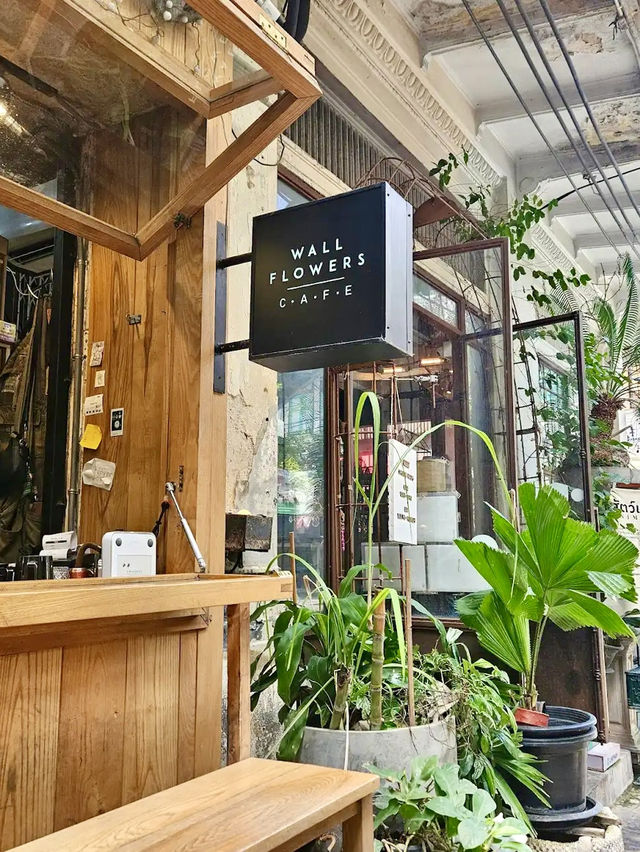จิบกาแฟเหมือนหลุดไปในโลกเวทมนตร์ 🌸☕️