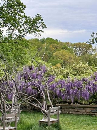 Dumbarton Oaks Park – 워싱턴 D.C.