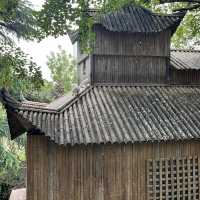 🌿 Zijing Mountain Park — Zhengzhou’s Peaceful Parkland with a Feathered Twist