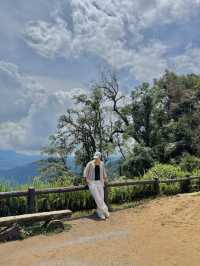 จุดชมวิว 1175 วิวสวยมาก ⛰️